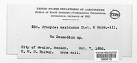 Image Associated With the Occurence